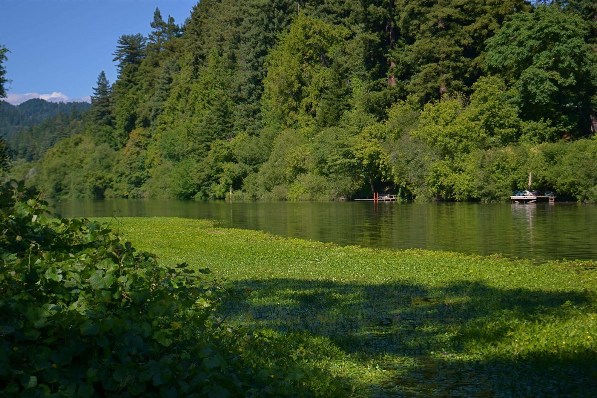 Guerneville Lodge エクステリア 写真