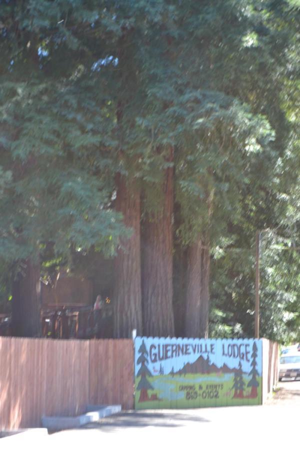 Guerneville Lodge エクステリア 写真